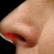 nose_1588364c.jpg