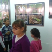 2013-10-23 09.42.23.jpg