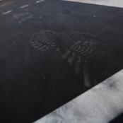 IMG_1503 [800x600].jpg