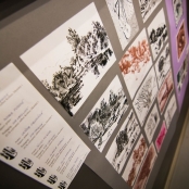 IMG_9732 [800x600].jpg