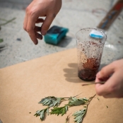 IMG_8804 [800x600].jpg