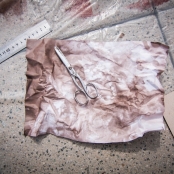 IMG_8828 [800x600].jpg