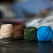 IMG_8888 [800x600].jpg