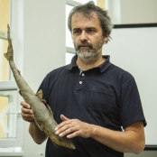 SPOTs (8 of 125).jpg