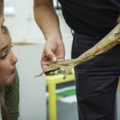 SPOTs (10 of 125).jpg