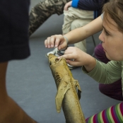 SPOTs (15 of 125).jpg