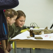 SPOTs (19 of 125).jpg