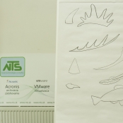 SPOTs (28 of 125).jpg