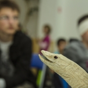 SPOTs (35 of 125).jpg