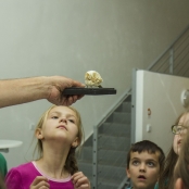 SPOTs (40 of 125).jpg