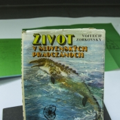 SPOTs (46 of 125).jpg