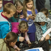 SPOTs (58 of 125).jpg