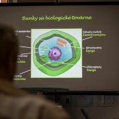 IMG_9956 [800x600].jpg