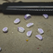 JB workshop (36 of 64).jpg