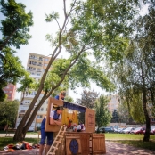 IMG_1429 [800x600].jpg