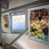 IMG_4135 [800x600].jpg