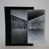 IMG_5460 [800x600].jpg