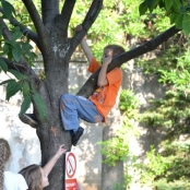 Dni lebedenia (17).jpg