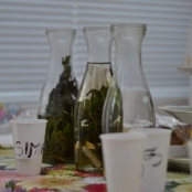 Dni lebedenia (53).jpg