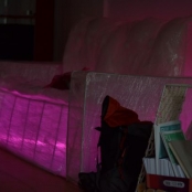 Dni lebedenia (54).jpg