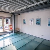 IMG_6101 [800x600].jpg