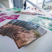 IMG_6109 [800x600].jpg