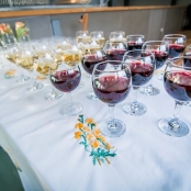 IMG_6119 [800x600].jpg