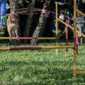 ulica_ma_sancu (10 of 12).jpg