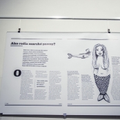 art_newspapers-3789.JPG