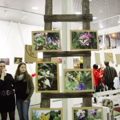 okamih_vo_fotografii-20.JPG