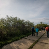 IMG_4373zmensene.jpg