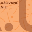 A.U. banner.png