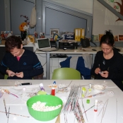 P1015152.jpg